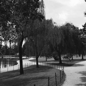 Meet your Posher, Desiree